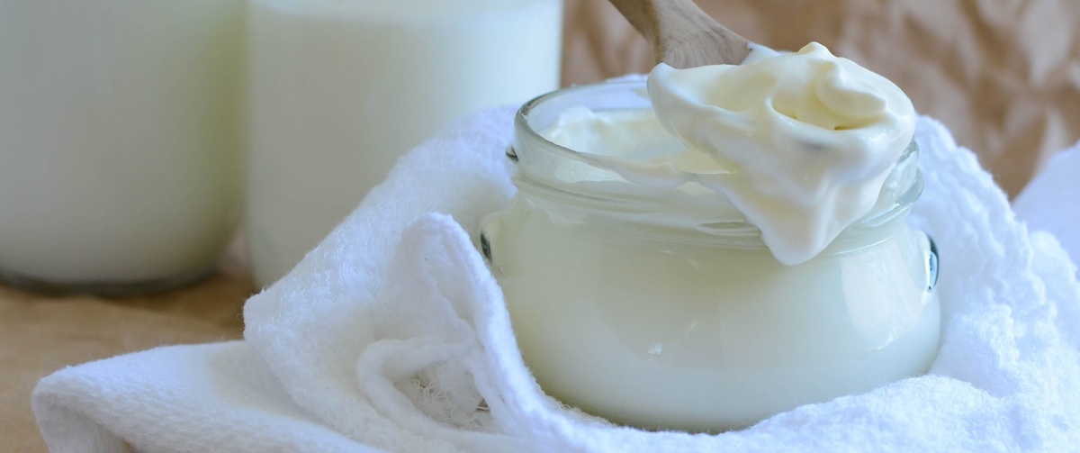 Sour cream production